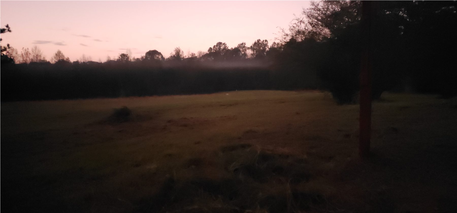 Open field before sunrise