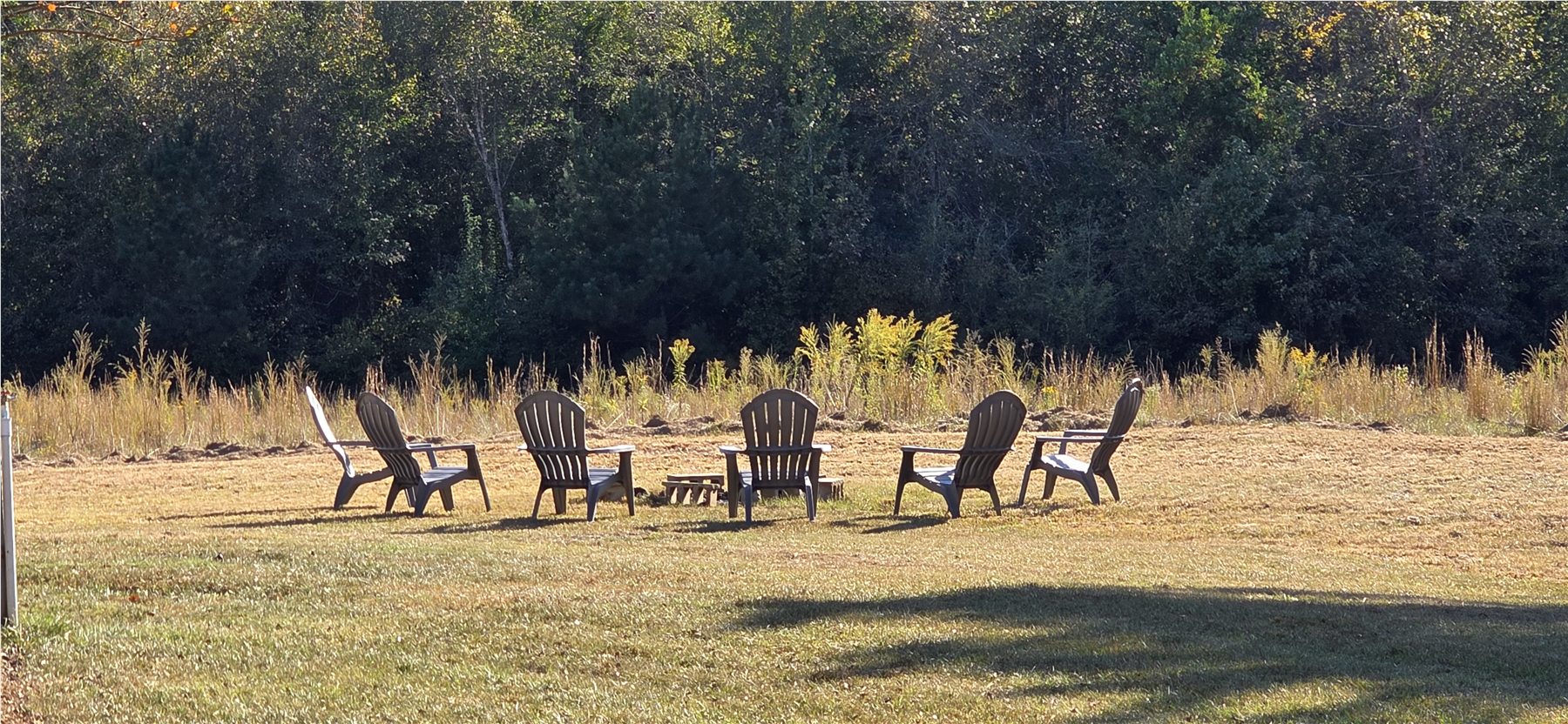 Fire-ring seating in the open field