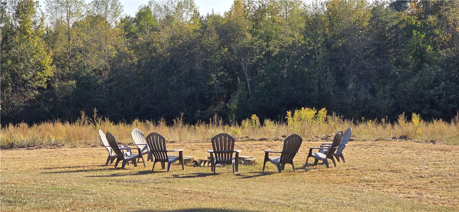 Chairs gathered at the wooded edge