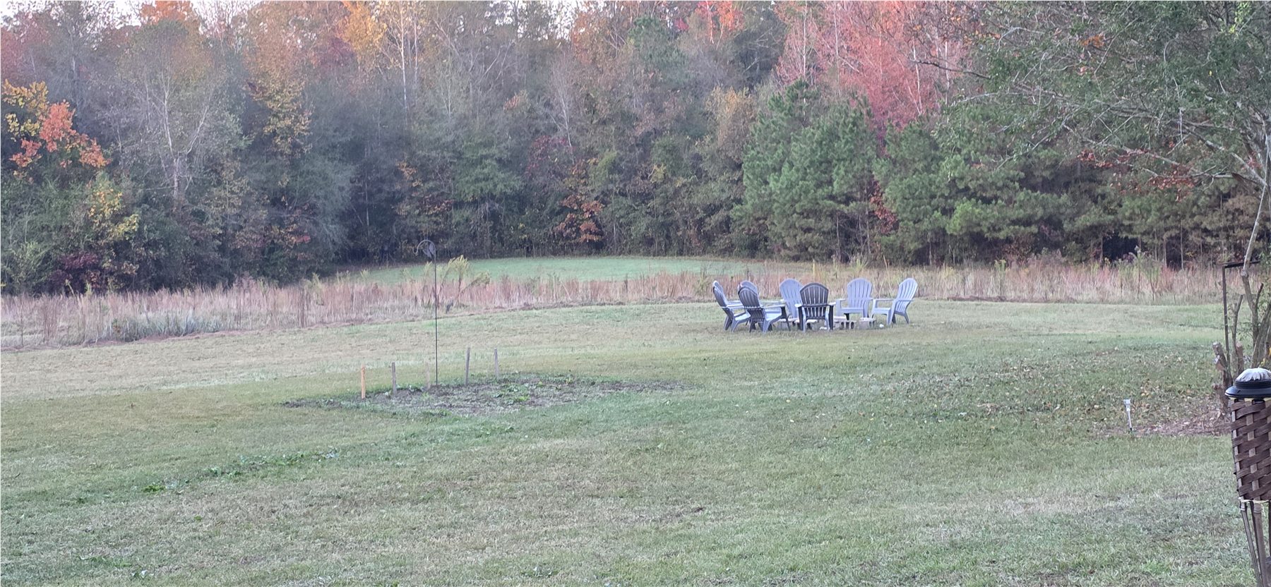 Fire-ring gathering area across the lawn