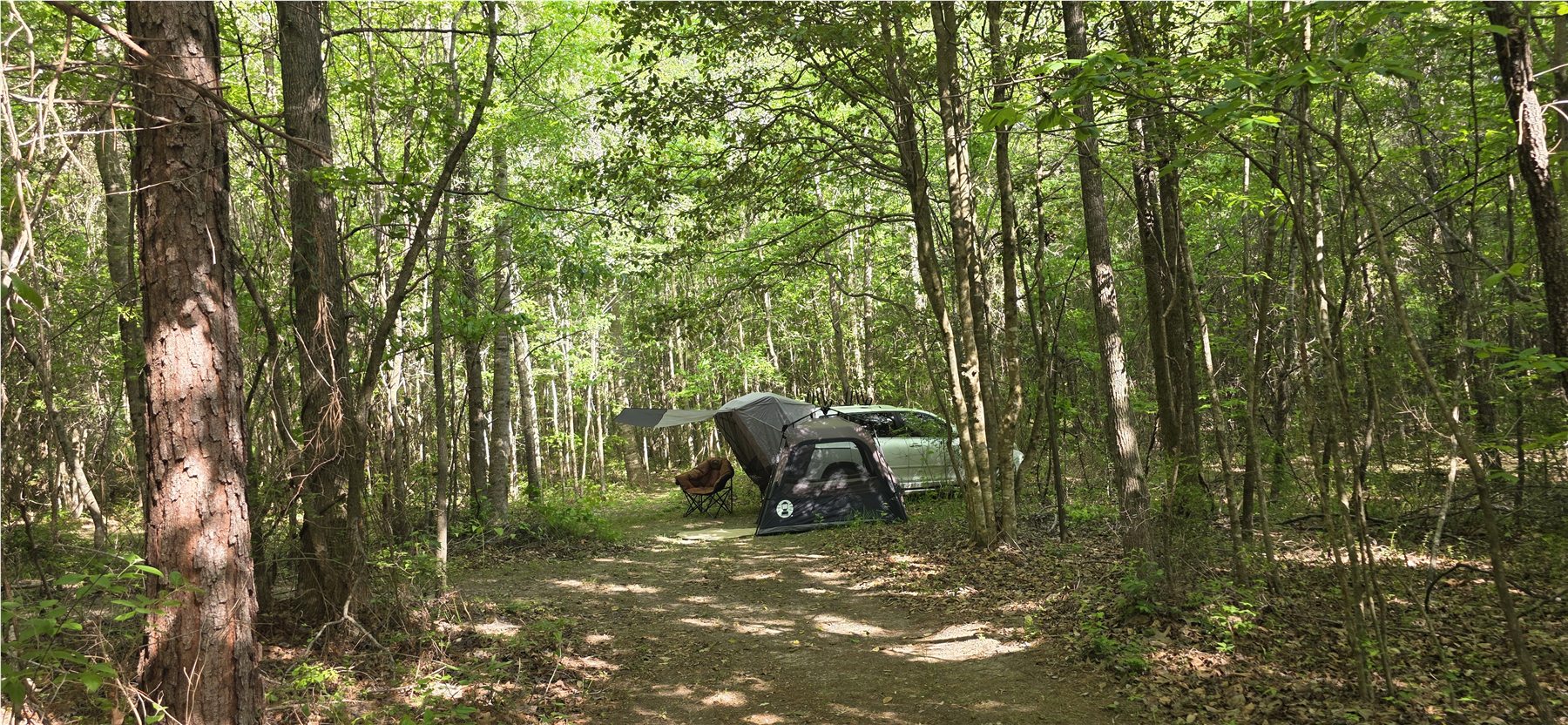 Wooded camping area